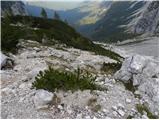 Dolina Kot - Triglav